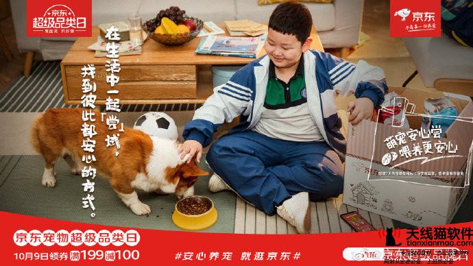 京東為什么會輸給拼多多1