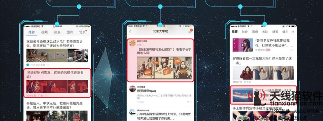 東家房產互聯網品牌提升就找天線貓2