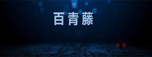 如何做好網(wǎng)絡(luò)廣告投放需要把握五條策略3