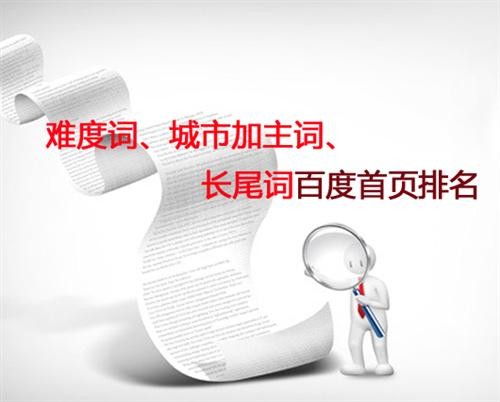 初期seo網(wǎng)站優(yōu)化實(shí)戰(zhàn)分享!