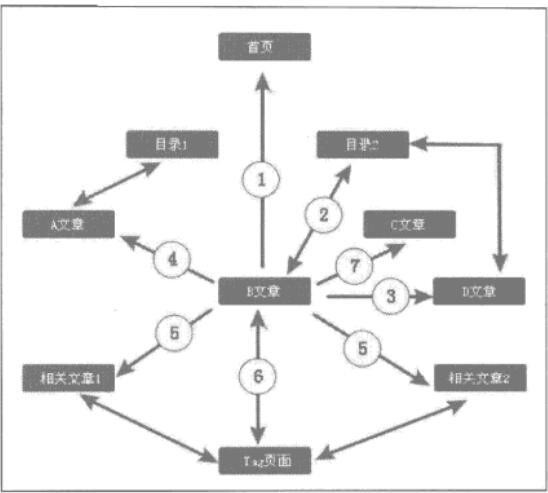SEO新站天天需要更新多少篇內容